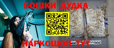 прущий лед Будённовск
