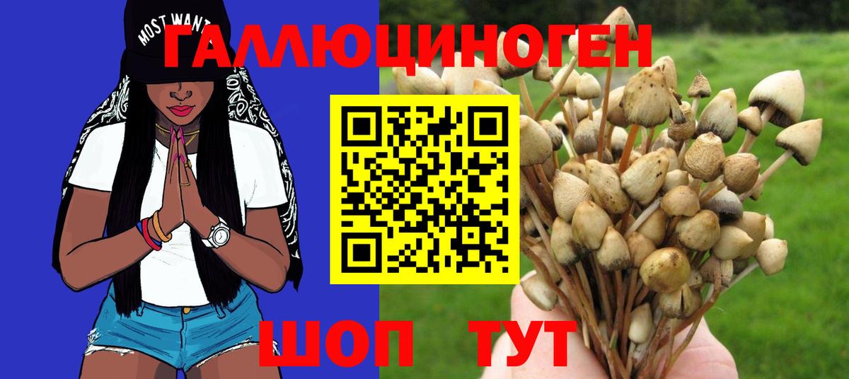 Псилоцибиновые грибы прущие грибы  Вход с VPN  Черемхово 